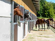 BP080722-83 - First horse Unit Sixtyfour